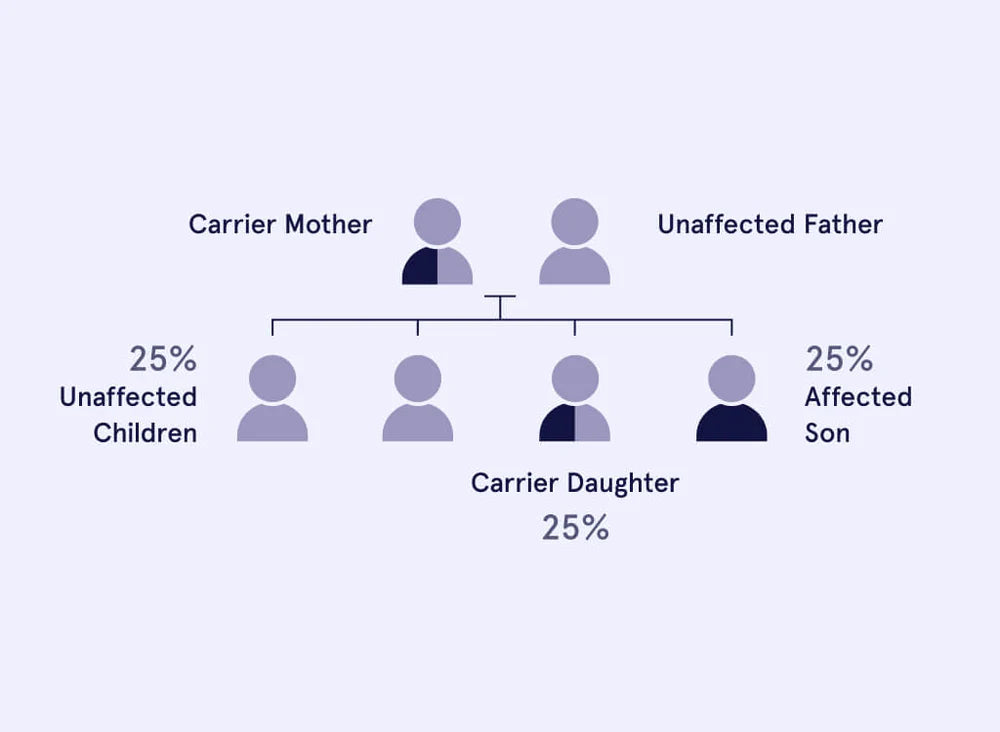 How is cystic fibrosis inherited? Recessive genetic inheritance