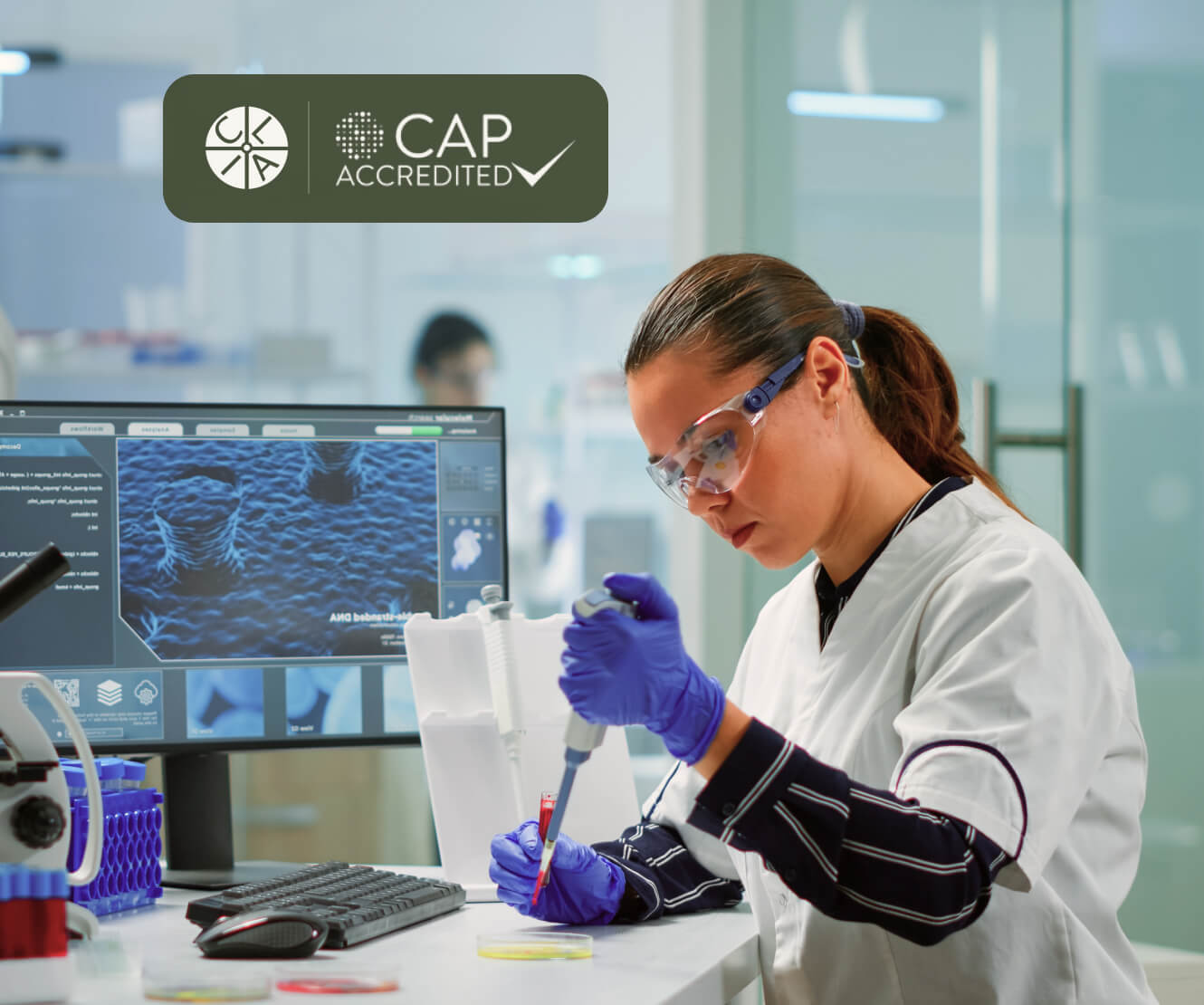 About our lab